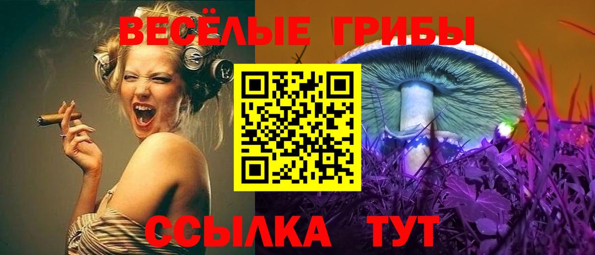 Псилоцибиновые грибы прущие грибы Печора