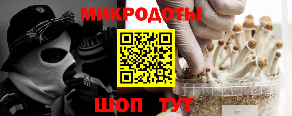 Галлюциногенные грибы Cubensis  Вход с VPN  Печора 